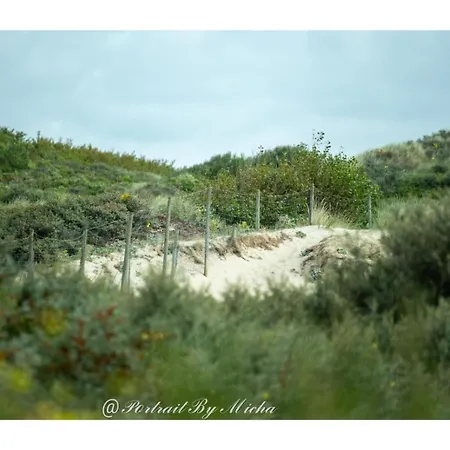 Dunea 住宿加早餐酒店 3*