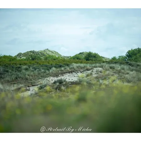 住宿加早餐酒店 Dunea 斯特拉海滩