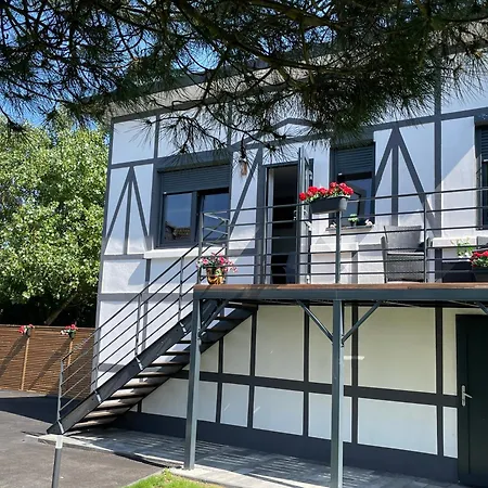 Dunea 斯特拉海滩