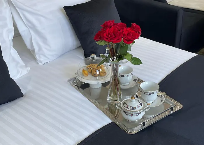 Dunea 스텔라플라주