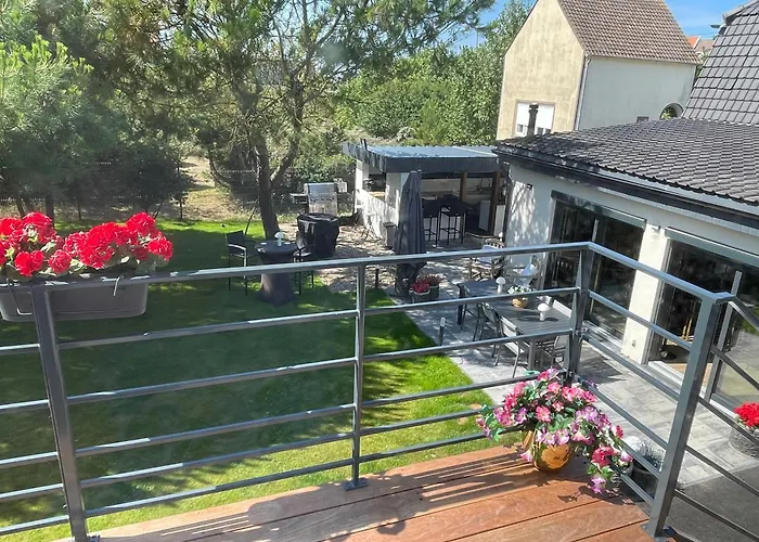 Dunea 스텔라플라주