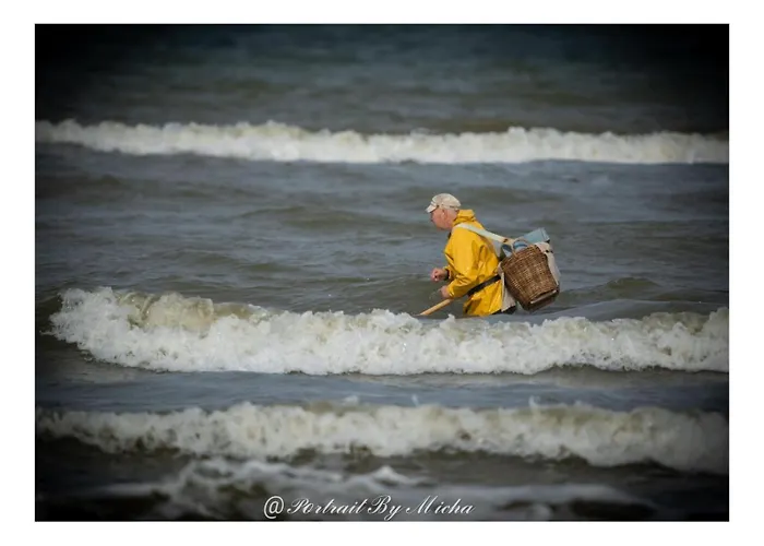 B&B Dunea 스텔라플라주