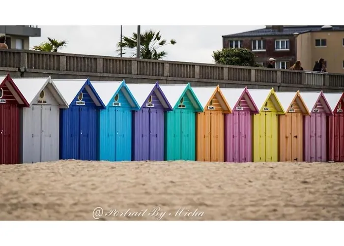 B&B Dunea 스텔라플라주