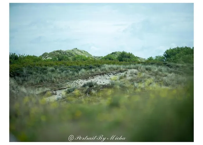 B&B Dunea 스텔라플라주