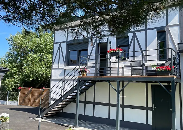 Dunea 스텔라플라주